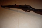SDC11181.jpg