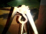 Lenovo_A1000_IMG_20170606_223118.jpg