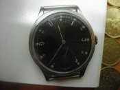 DSC03600.jpg