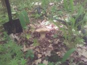 20170606_151009.jpg
