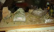 20170602_005935.jpg