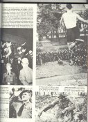 Franz signal 2.jpg