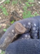 20170610_073120.jpg