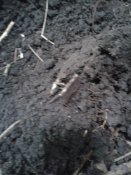 20170610_082938.jpg