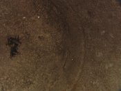IMGA0901.jpg