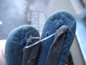 IMG_5508.jpg
