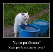 xuli-razbavil_452_demotivatorz.ru.jpg