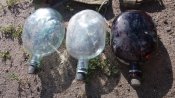 20170611_174936.jpg