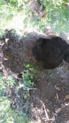 IMG_20170603_185017.jpg