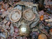 DSCN5008.jpg