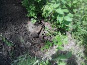20170612130934.jpg