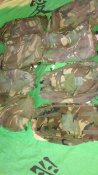 IMG_20170614_101531068.jpg