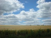 DSCN5518.JPG