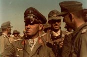 rommel_dessert_fox.jpg
