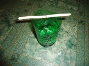 DSC01764.jpg