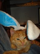 DSC00039.JPG