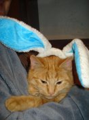 DSC00040.JPG