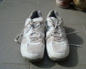 DSC01010.JPG