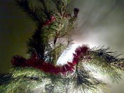 311220116218.jpg