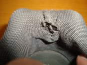 DSC01290.JPG