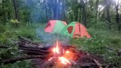 WP_20170529_04_40_08_Pro.jpg