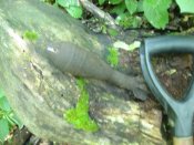 IMG_0256.JPG