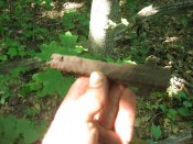 IMG_0223.JPG
