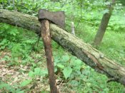 IMG_0307.JPG