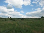 IMG_0311.JPG
