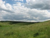 IMG_0313.JPG