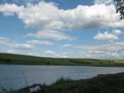 IMG_0317.JPG