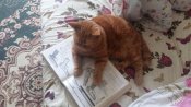 20170523_134757.jpg