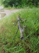 20170617_131524-756x1008.jpg