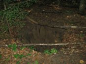 IMG_1781.jpg