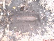 DSC00877.jpg