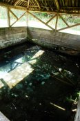 DSC09165.jpg