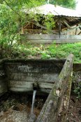 DSC09167.jpg