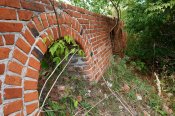 DSC09181.jpg