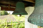 DSC09768.jpg