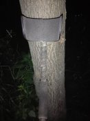IMG_20170617_204016.jpg
