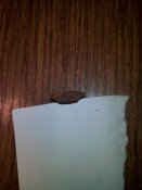 IMG_20170618_142046.jpg