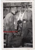 6гкн.JPG