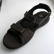 PIC2T0011.JPG