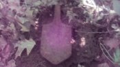 IMG_20170620_105951.jpg