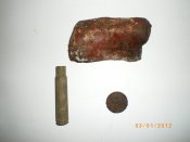 IMGP4423.JPG
