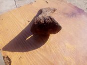 IMG_20170620_074051.jpg