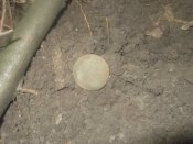 DSCF7773.JPG