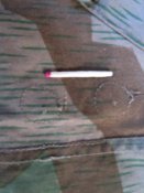 z27.jpg