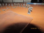IMG_9561.JPG