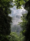 DSCN5880.1.jpg